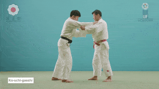 ko-uchi-gaeshi - A technique to dodge the opponent’s Ko-uchi-gari attempt and throw him down. ko-uchi-gaeshi - A technique to dodge the opponent’s Ko-uchi-gari attempt and throw him down.