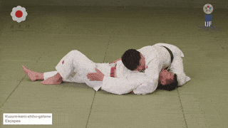 kuzure-kami-shiho-gatame:escapes - null